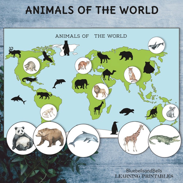 Animals of the continents shadow matching activity. Montessori printable. Animals world map kids game.
