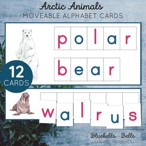 Tarjetas de palabras con el alfabeto móvil Montessori de animales del Ártico para unir letras