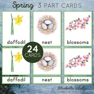 Cartes printanières Montessori imprimables en 3 parties. Activité de vocabulaire de printemps pour le préscolaire et la maternelle.