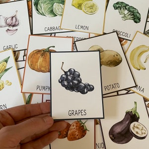 May include: A set of flashcards featuring illustrations of various fruits and vegetables. The cards are white with black borders and feature the name of the fruit or vegetable in black text. The cards are arranged in a random order, with some cards partially visible. The cards include images of a lemon, garlic, cabbage, pumpkin, grapes, potato, eggplant, banana, corn, and broccoli.