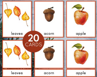 Fall Montessori printable  3 part cards. Autumn vocabulary for preschool and kindergarten. Toddler matching activity.