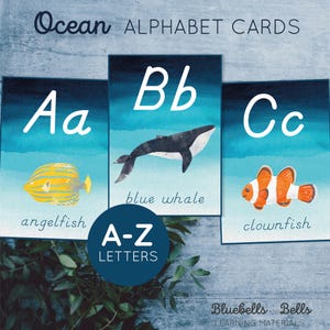 Ozean Alphabet Karten. Meerestiere Buchstabenkarten.