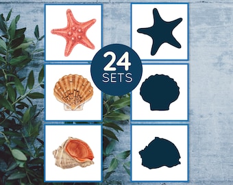 May include: A set of 24 printable shadow matching cards featuring seashells and a starfish. The cards are designed for children to match the shadows to the corresponding images. The cards are on a blue wooden background.