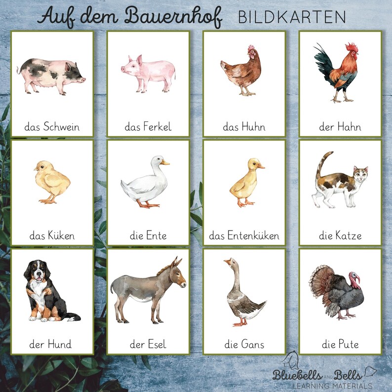Bauernhoftiere Bildkarten. Lernkarten Deutsche Sprache Für Kleinkinder