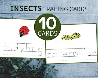 Insect cards Tracing. Spring preschool and kindergarten printable handwriting worksheets.