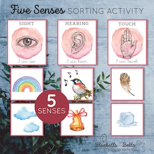 Five senses sorting activity. Kids printable game.