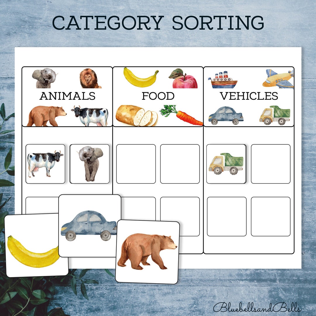 Toddler Category Sorting Printable. Montessori Matching Activity. - Etsy