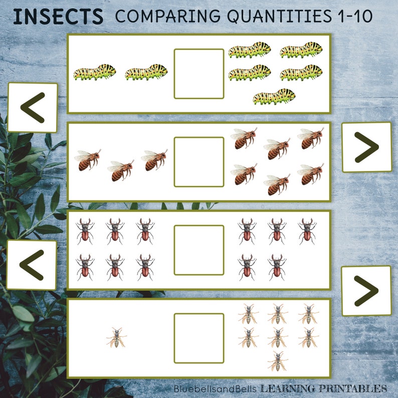 Comparing Two Insects Insect Preschool Printable Comparing Numbers Task Cards. More Than ...