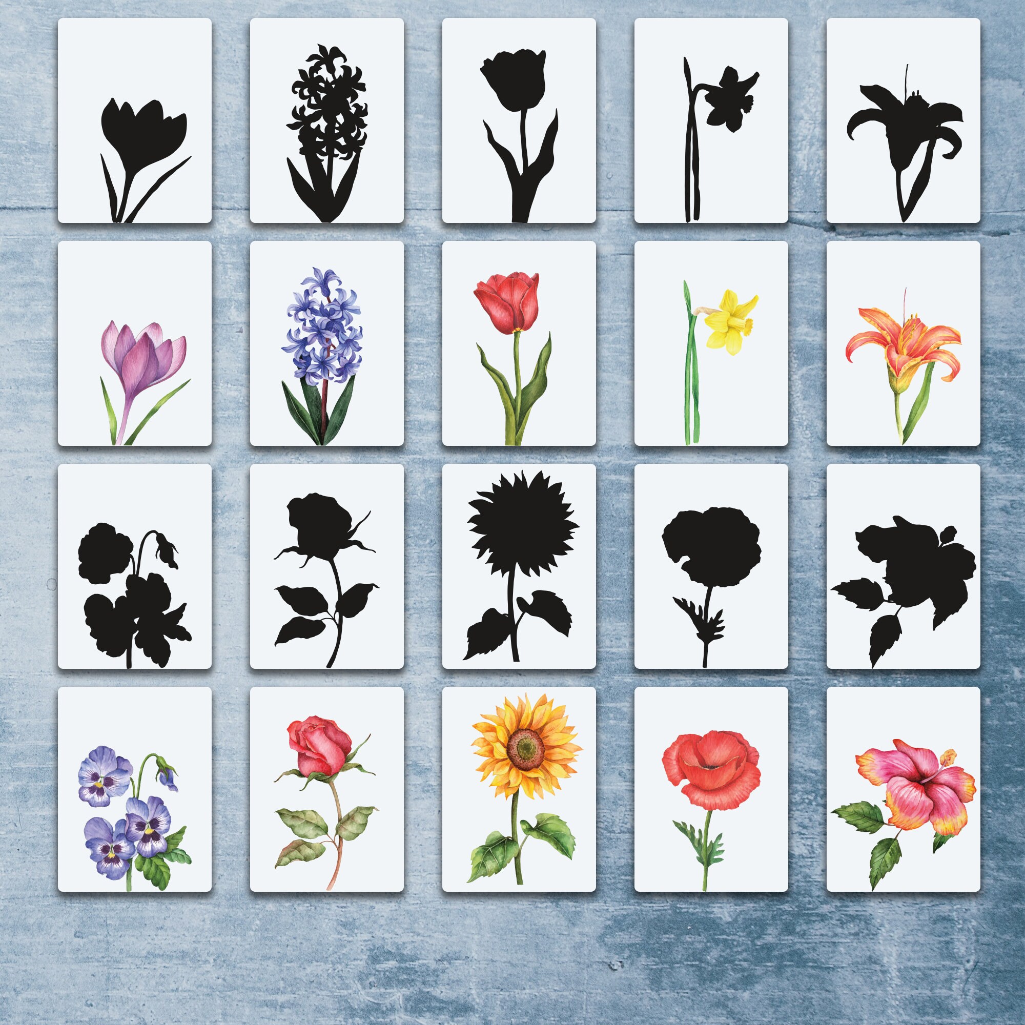 Flower Printable Shadow Matching Cards. Montessori Spring Etsy