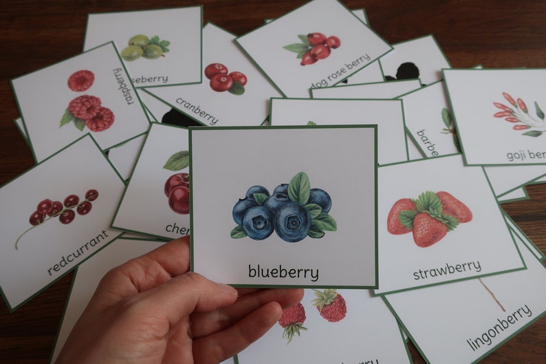 K&ouml;nnte beinhalten: Ein Satz von Lernkarten mit verschiedenen Beerenarten. Jede Karte zeigt eine farbenfrohe Illustration einer Beere und ihren Namen darunter. Die Beeren umfassen Blaubeere, Cranberry, rote Johannisbeere, Erdbeere, Preiselbeere, Goji-Beere, Hagebutte, Himbeere und Kirsche.
