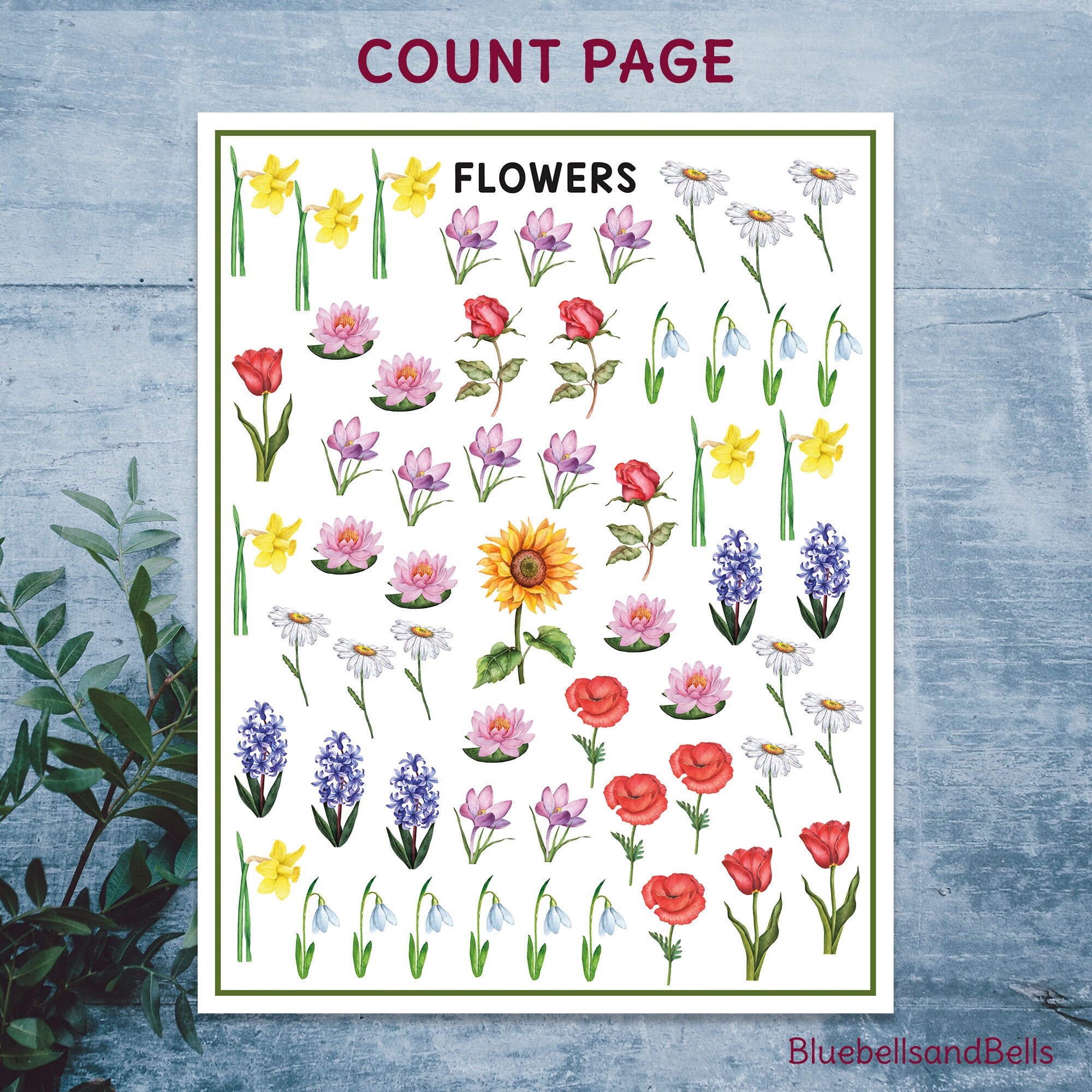 Graphing Printable Flowers. Preschool and Kindergarten Math - Etsy