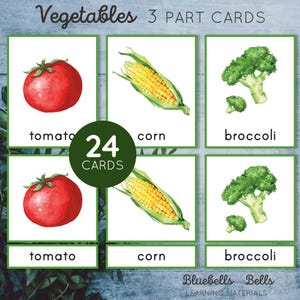 Vegetables Montessori wydrukowane karty 3-częściowe. Aktywność dopasowująca słownictwo dla przedszkolaków i przedszkolaków.