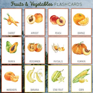 May include: A set of 12 watercolor flashcards featuring various fruits and vegetables, including a carrot, apricot, peach, orange, papaya, persimmon, physalis, pumpkin, mandarin, banana, star fruit, and corn.