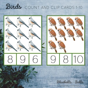 Birds Count and Clip Cards 1-10. Spring Montessori Printable. Preschool ...
