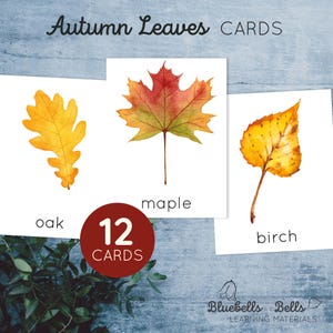 Mini fiches d'identification des feuilles d'automne. Cartes imprimables d'automne à l'aquarelle pour les tout-petits et les enfants d'âge préscolaire.