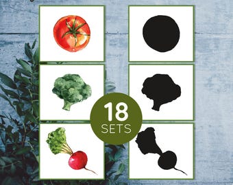 Vegetables printable shadow matching cards. Montessori toddler activity. Watercolor veggies flash cards.