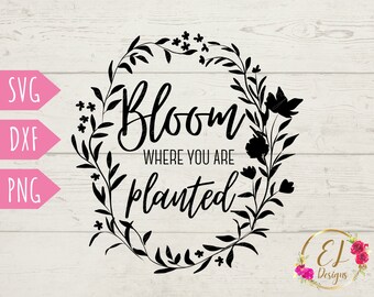 Spring Svg Cut File | Bloom Where you are Planted Svg | Spring PNG | Garden Svg | Bloom Svg