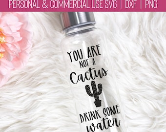 May include: A clear plastic water bottle with a black vinyl sticker that reads "You are not a cactus, drink some water". The sticker features a black cactus illustration.