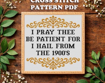 Funny 1900s Cross Stitch Pattern: Snarky Sarcastic Quote (PDF Pattern)