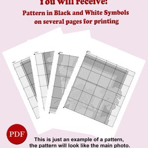 May include: Several pages of printed cross-stitch patterns with black and white symbols. The text at the top reads "You will receive: Pattern in Black and White Symbols on several pages for printing."