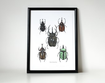 Vintage Insects Beetles Illustration / Wall Art Print / Wall Art / Numbered print / Vintage Art / Wall Decor / Unique Gift