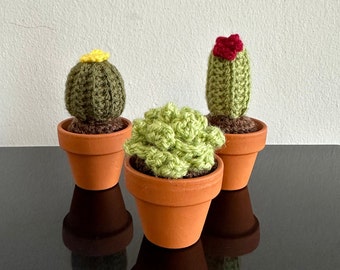 Crochet Cactus in Mini Terracotta Pot