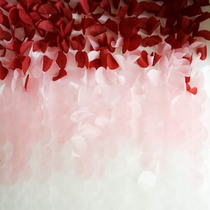 Sfondo per matrimoni in Borgogna, sfondo rosso vino, sfondo rosa per feste, sfondo per compleanni in Borgogna, sfondo per baby shower rosa, sfondo rosso scuro