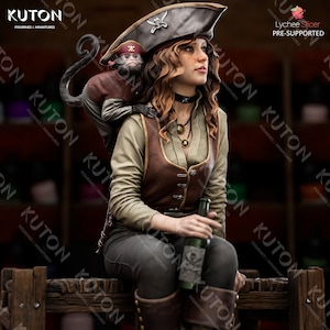 Pode incluir: Uma figura de pirata feminina com um macaco no ombro, vestindo um colete marrom, uma camisa verde, um cinto preto e um chap&eacute;u preto com uma caveira e ossos cruzados. Ela est&aacute; segurando uma garrafa de rum na m&atilde;o direita e est&aacute; sentada em uma t&aacute;bua de madeira.