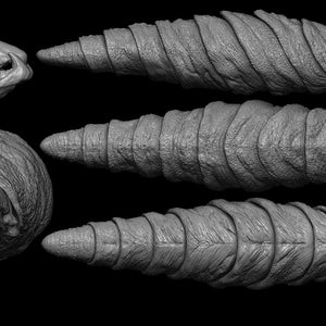 May include: A grayscale rendering of a segmented, worm-like creature, presented in multiple views. The creature has a textured, ridged body and a distinct head with visible features. The image is set against a black background, highlighting the details of the model.