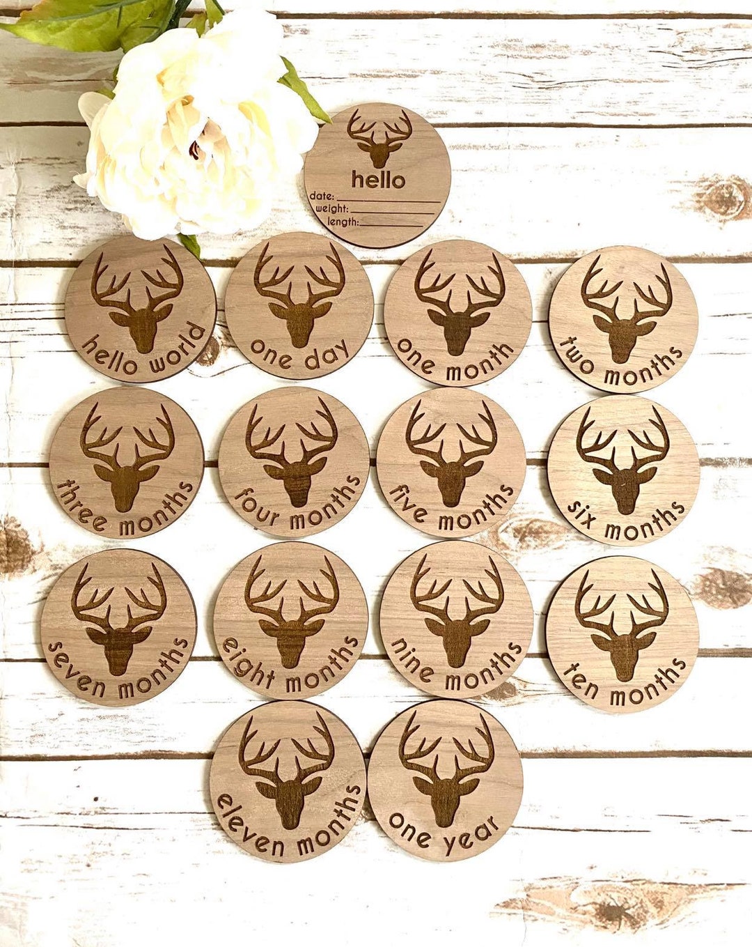 Baby's Laser Cut 15 Each Baby Deer Wooden Milestone Cards Milestone ...