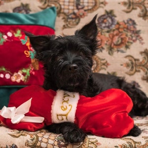 May include: A black dog rests on a floral patterned couch, with a red bone-shaped dog toy. The toy has the name "Lexy" embroidered on it. A red and green pillow with a floral design is in the background.