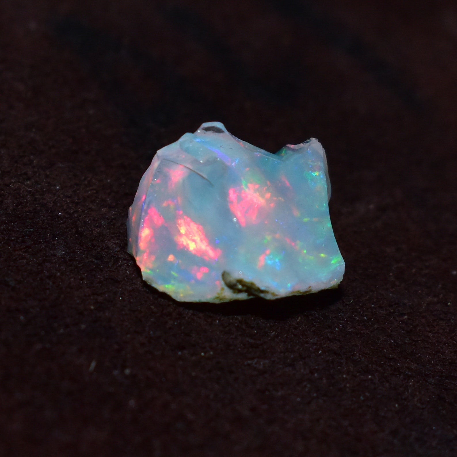 best opal colol best opal colol