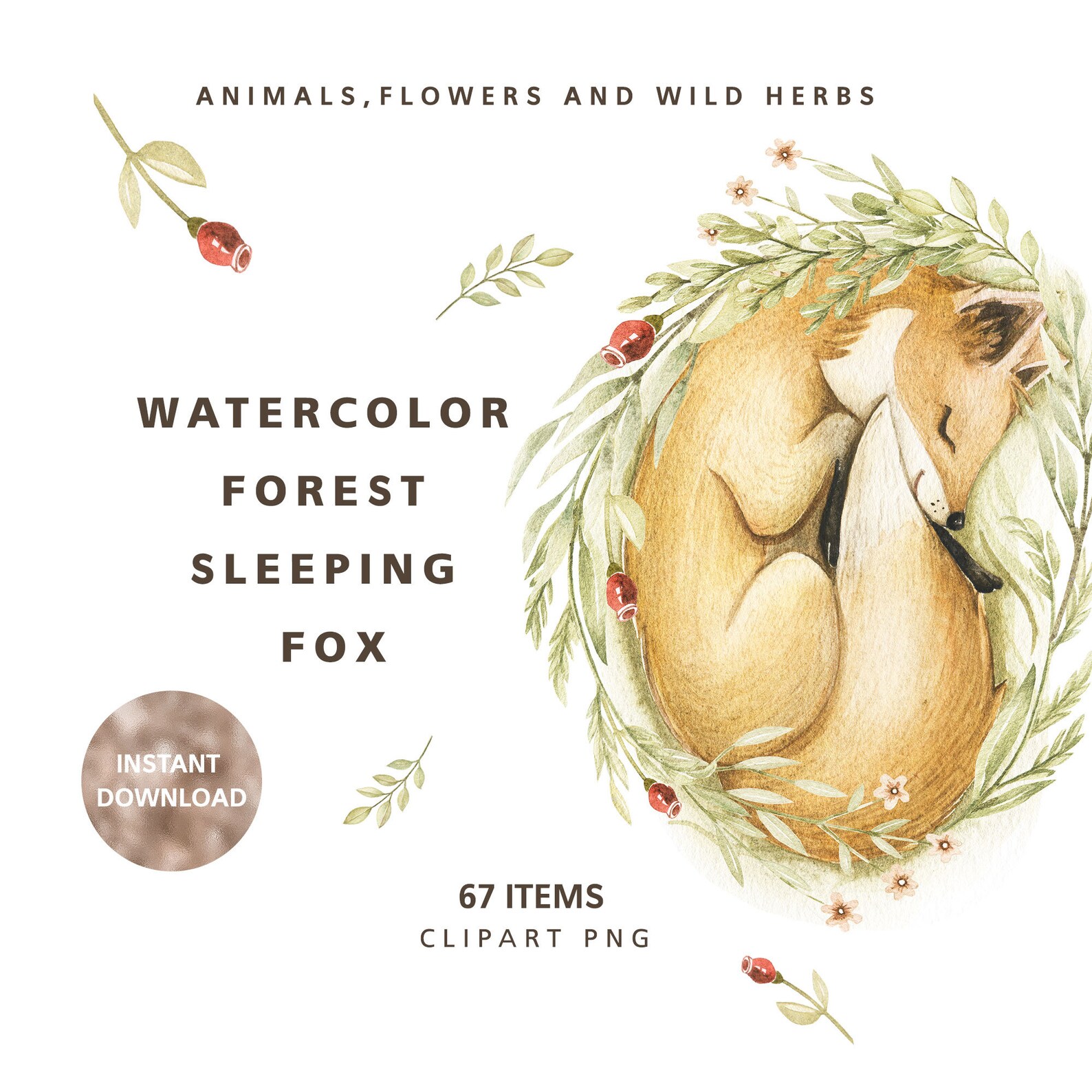 Forest sleeping foxes flowers and wild herbs print. Forest | Etsy