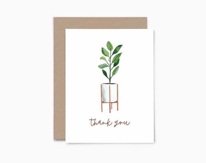 House Plant Thank You Cards, Set of 8 Eco-friendly Blank Note Cards ...