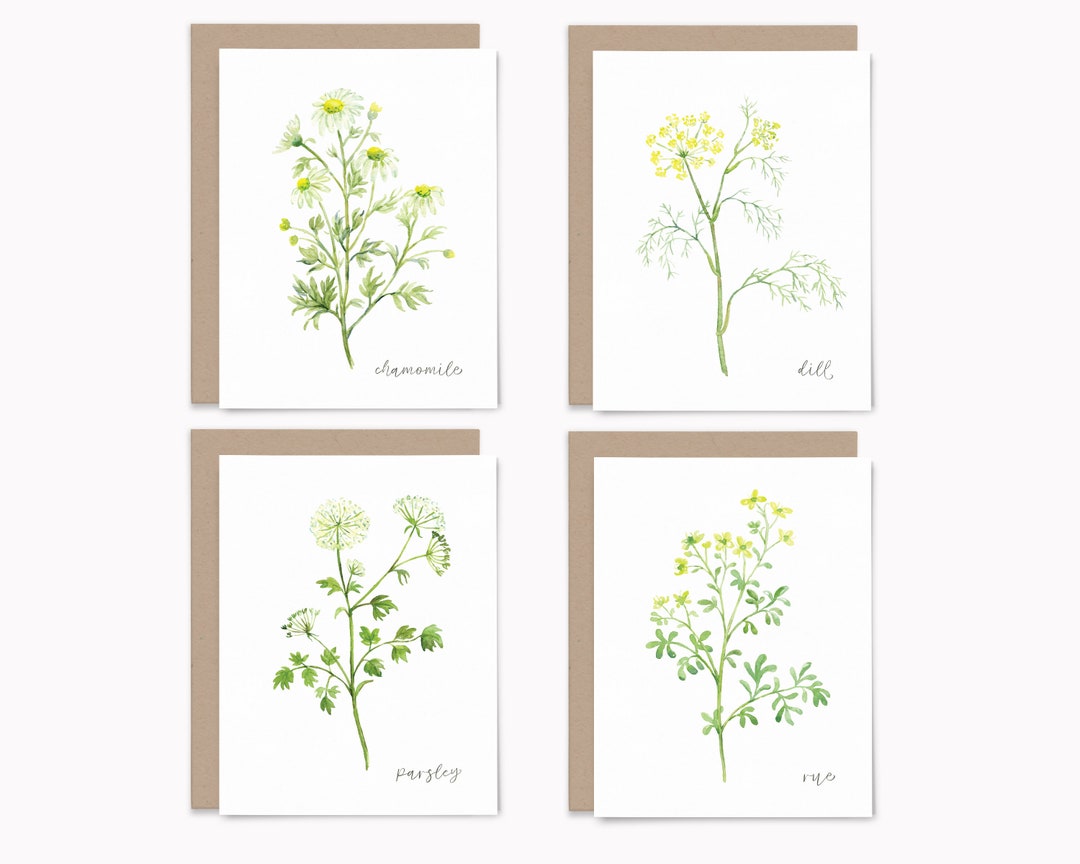 Set of 8 Herb Greeting Cards Note Cards Boxed Set Variety Etsy