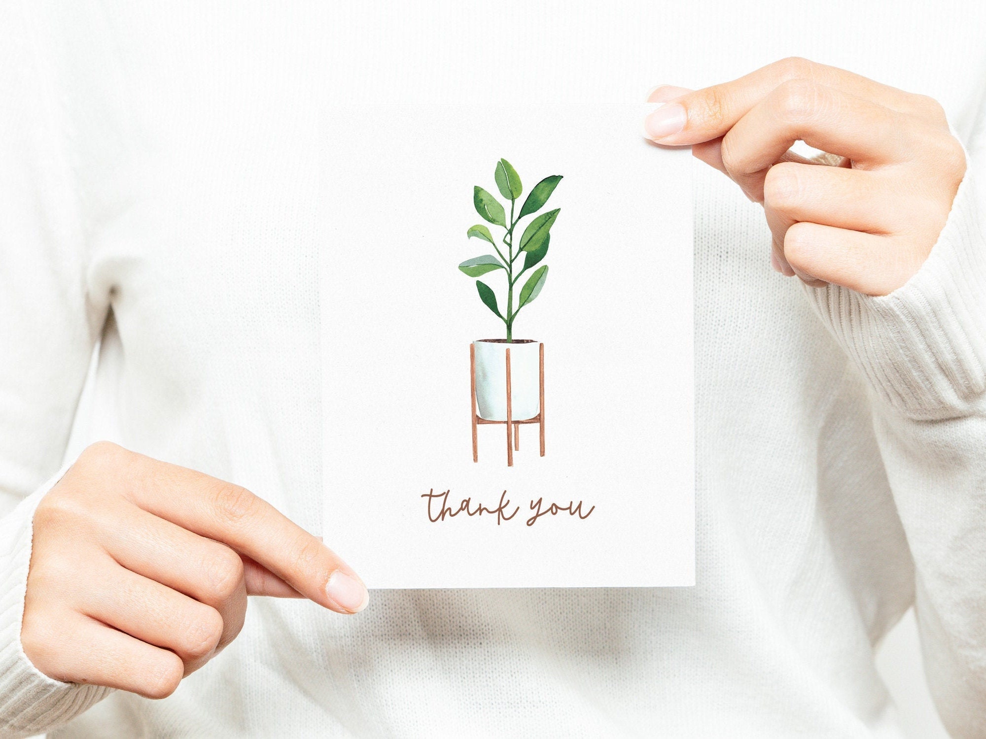 House plant thank you cards Set of 8 ecofriendly blank note Etsy