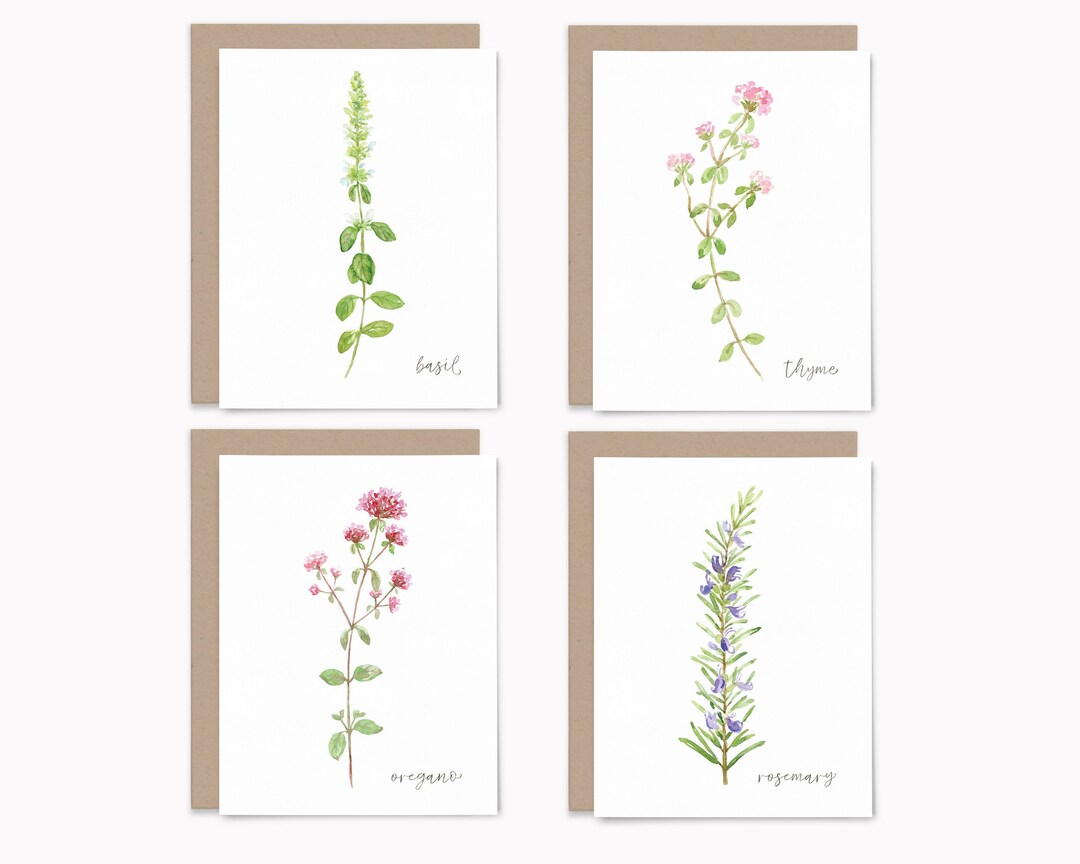 Flowering Herb Note Card Variety Pack, Set of 8 Recycled Blank Greeting ...