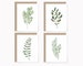Botanical recycled stationary set, Watercolor greenery note cards, Eco friendly cards with envelopes 