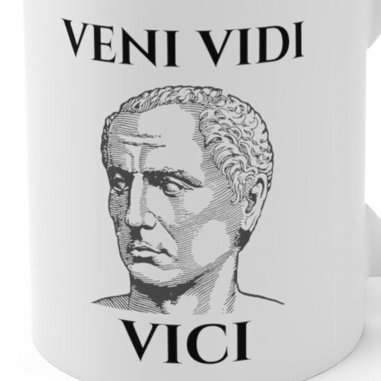 VENI VIDI VICI Coffee Tea Ceramic Mug Rome Julius Caesar Bust