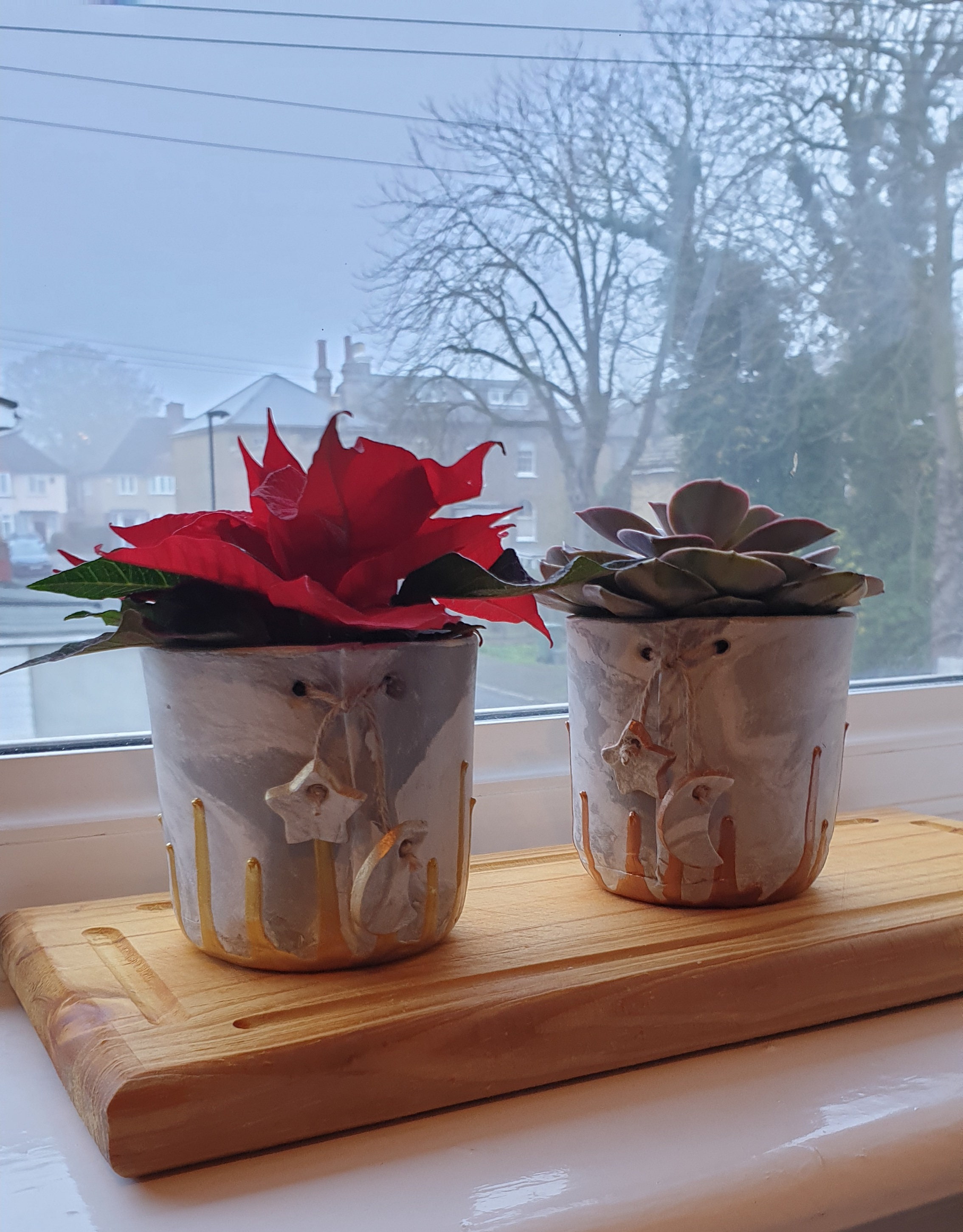 indoor clay plant pots