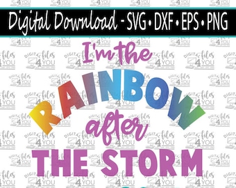 Rainbow Baby Svg, After every storm Cricut file, Rainbow Baby Cricut Design, Rainbow Baby Svg, BABY shower Gift Idea