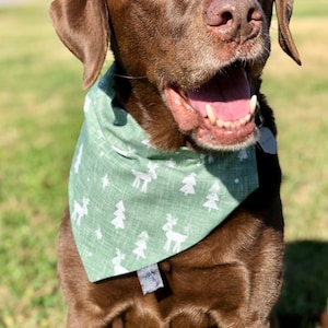 Sage Reindeer Made To Order Over The Collar Dog Bandana