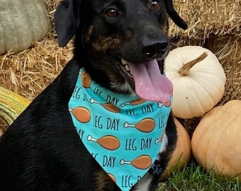 Teal Leg Day Drumstick Thanksgiving Made To Order Over The Collar Dog Bandana