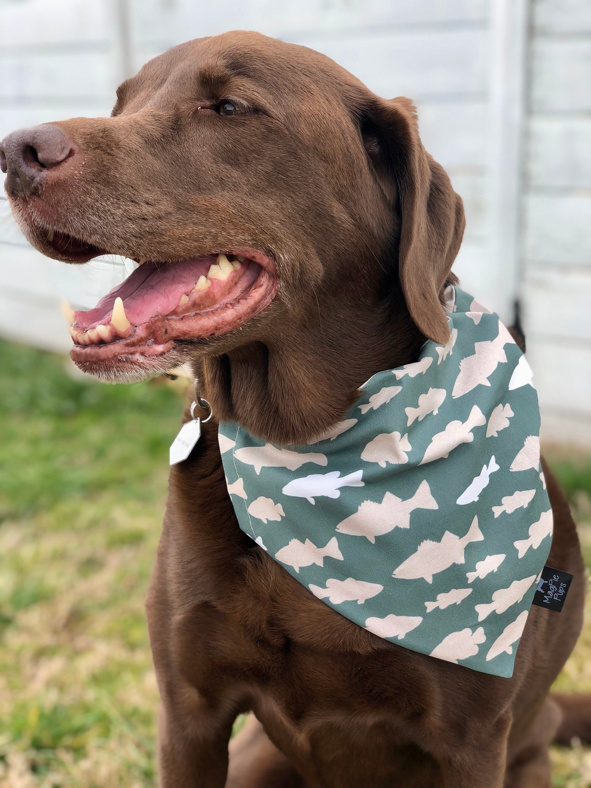 Gone Fishing Over the Collar Dog Bandana -  Canada