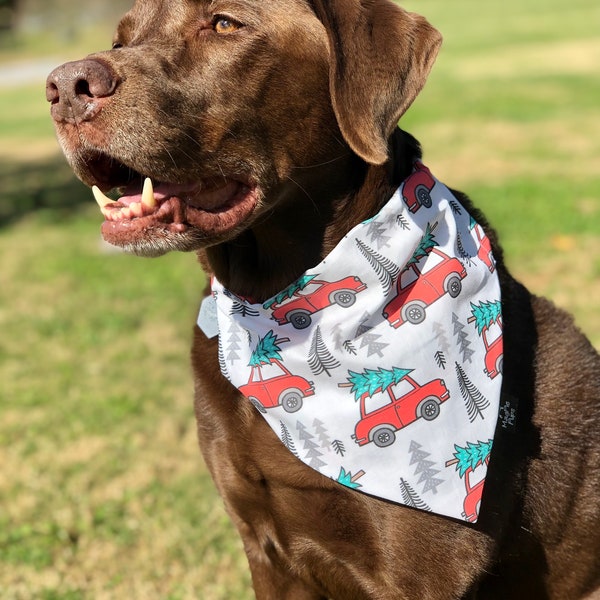 Christmas Vacation Made To Order Over The Collar Dog Bandana