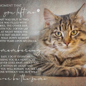 Custom Cat Memorial Gift, Pet Loss Gifts for Owner, Cat Memorial Frame, Cat Loss Gift, Cat Remembrance Print, Photo Memorial Canvas Wall Art