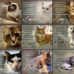 Custom Cat Memorial Gift, Pet Loss Gifts for Owner, Cat Memorial Frame, Cat Loss Gift, Cat Remembrance Print, Photo Memorial Canvas Wall Art image 2