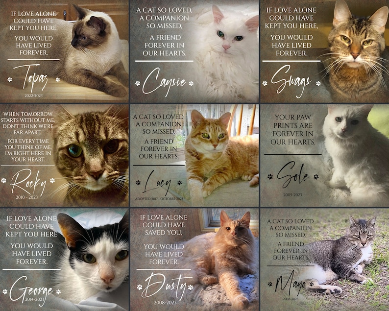 Custom Cat Memorial Gift, Pet Loss Gifts for Owner, Cat Memorial Frame, Cat Loss Gift, Cat Remembrance Print, Photo Memorial Canvas Wall Art image 2