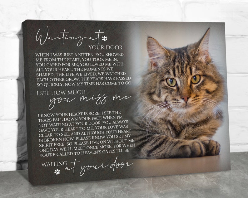 Custom Cat Memorial Gift, Pet Loss Gifts for Owner, Cat Memorial Frame, Cat Loss Gift, Cat Remembrance Print, Photo Memorial Canvas Wall Art image 7