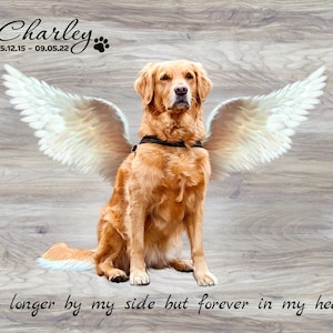 Dog Memorial Gift, Angel Pet w Wings Photo to Painting, Loss of Pet Memorial Gift, Custom Dog Remembrance, Pet Loss Gifts, dog sympathy gift image 7